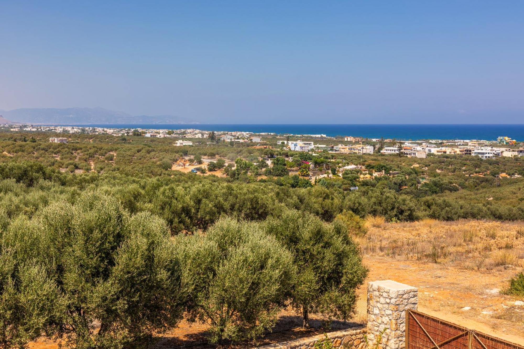 Γηorganic Farm And Houses. Chersonissos Buitenkant foto