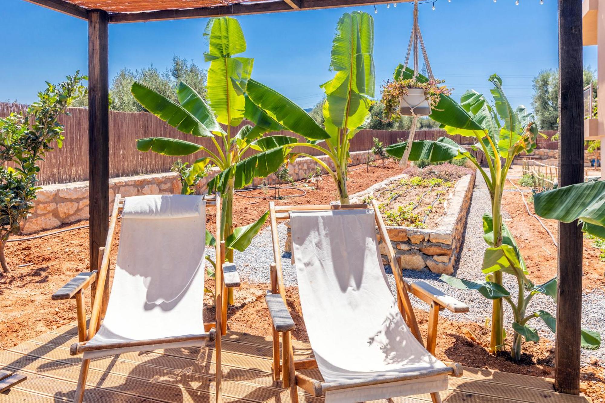 Γηorganic Farm And Houses. Chersonissos Buitenkant foto